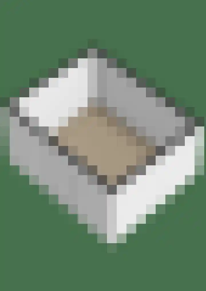 Schenkel 9 Berkenwoude thumbnail 59