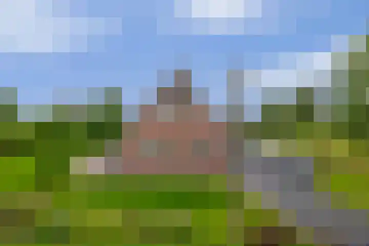Schenkel 9 Berkenwoude thumbnail 6
