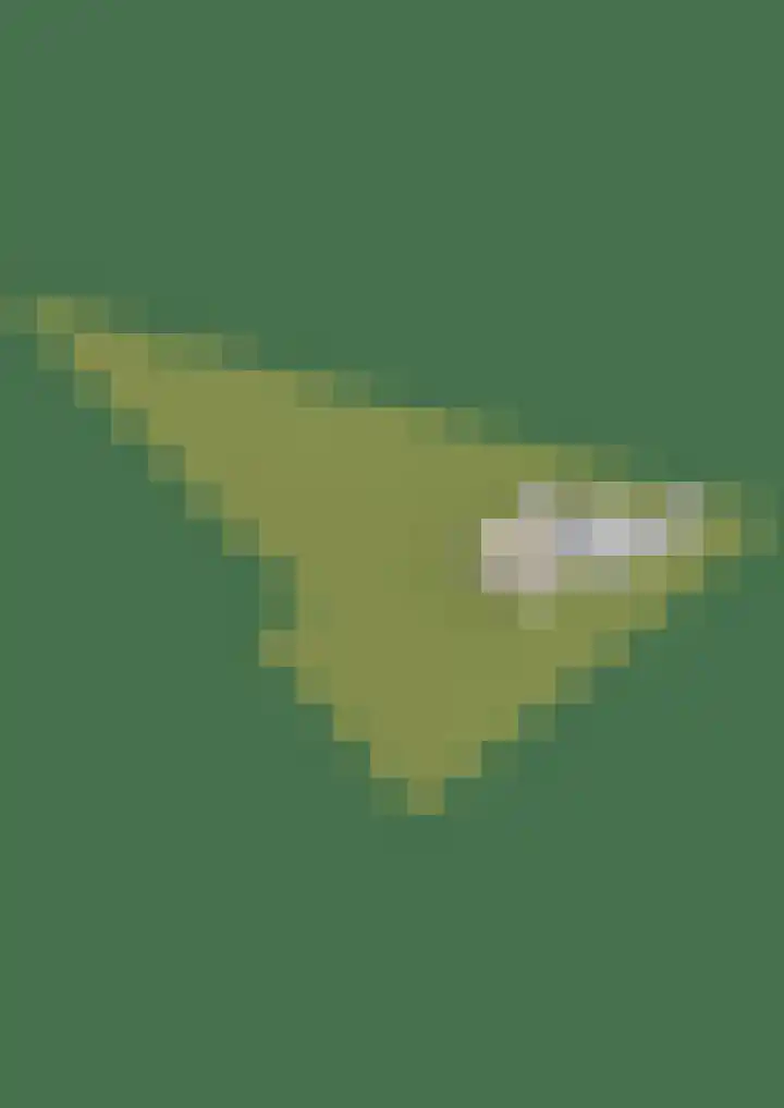 Schenkel 9 Berkenwoude thumbnail 63