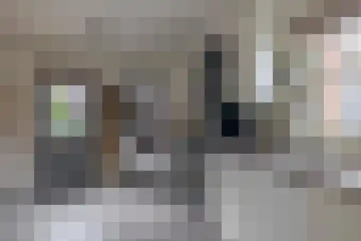 Schenkel 9 Berkenwoude thumbnail 7