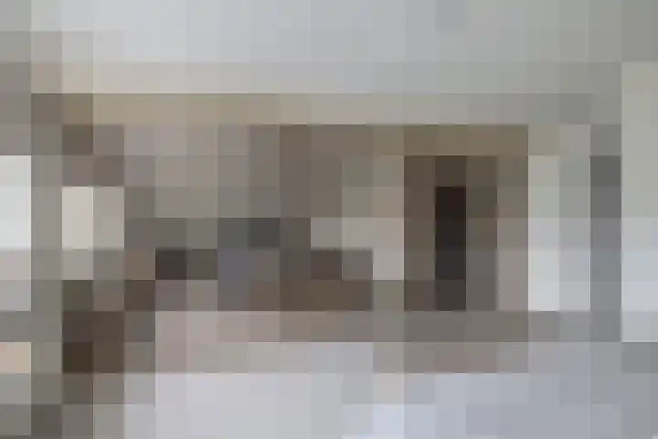 Schenkel 9 Berkenwoude thumbnail 8