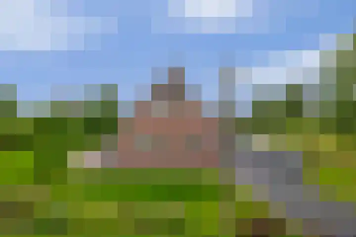Schenkel 9 Berkenwoude thumbnail 9