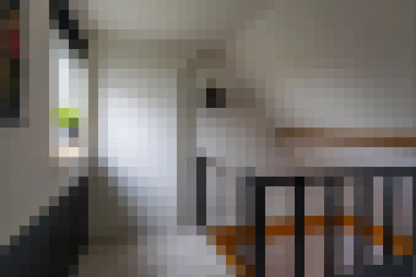 Schenkeldijk 1 Nieuwendijk thumbnail 13
