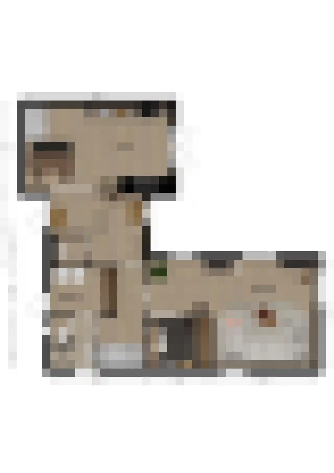 Schenkeldijk 1 Nieuwendijk thumbnail 34