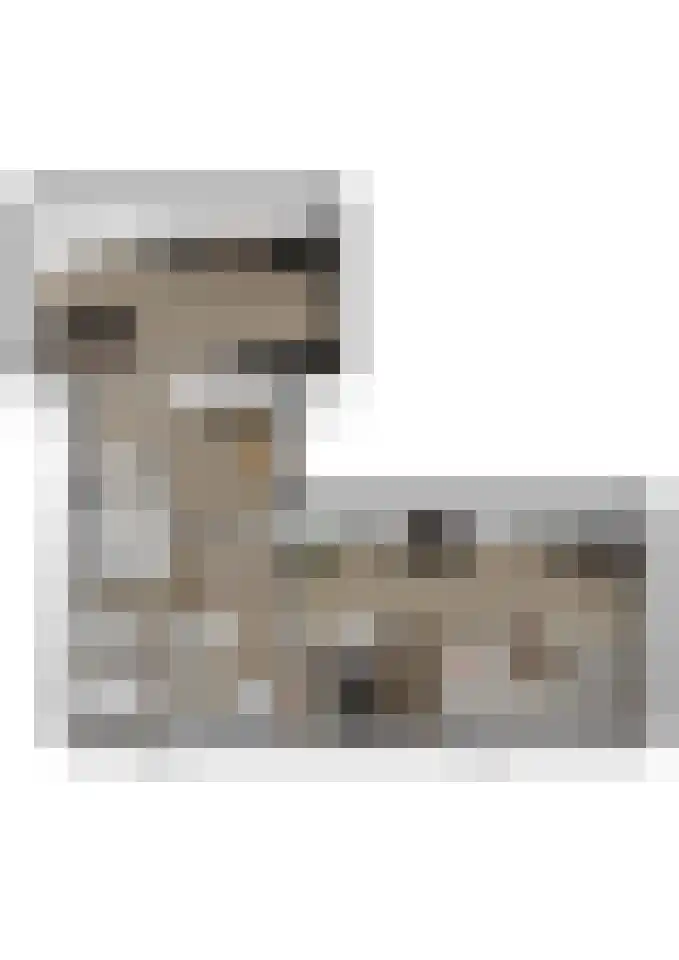 Schenkeldijk 1 Nieuwendijk thumbnail 35