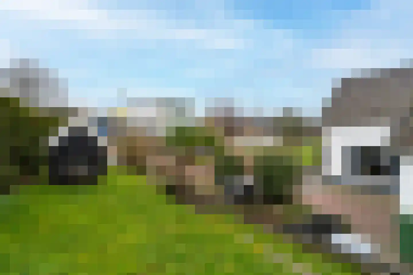 Schenkeldijk 1 Nieuwendijk thumbnail 5