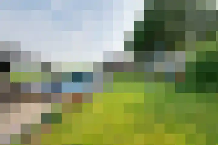 Schenkeldijk 108 's-Gravendeel thumbnail 32