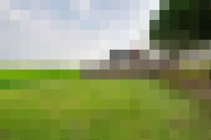 Schenkeldijk 108 's-Gravendeel thumbnail 33