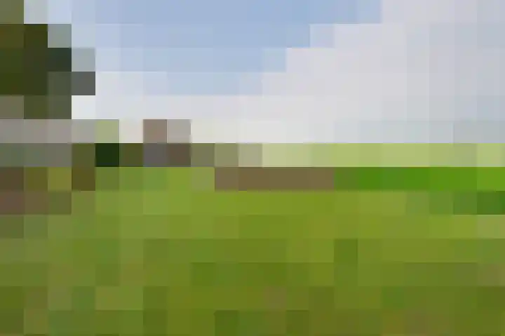 Schenkeldijk 108 's-Gravendeel thumbnail 34