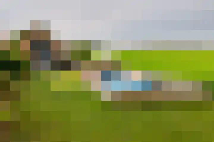 Schenkeldijk 108 's-Gravendeel thumbnail 8