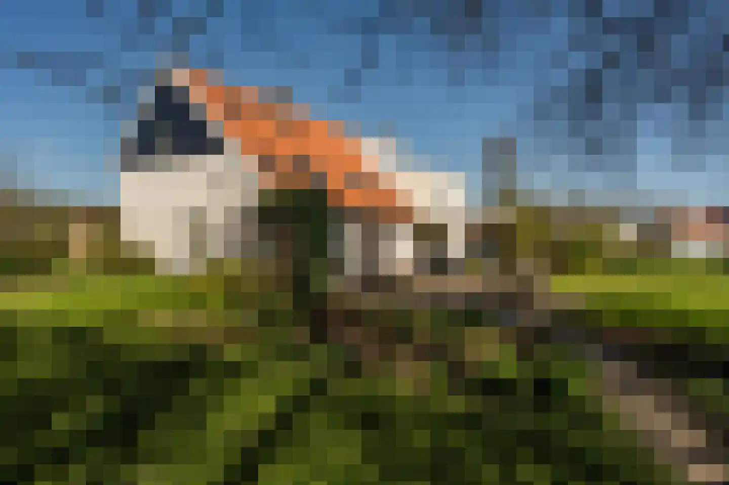 Schenkeldijk 123 's-Gravendeel thumbnail 10