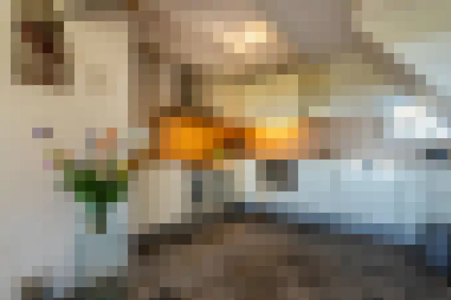 Schenkeldijk 123 's-Gravendeel thumbnail 22