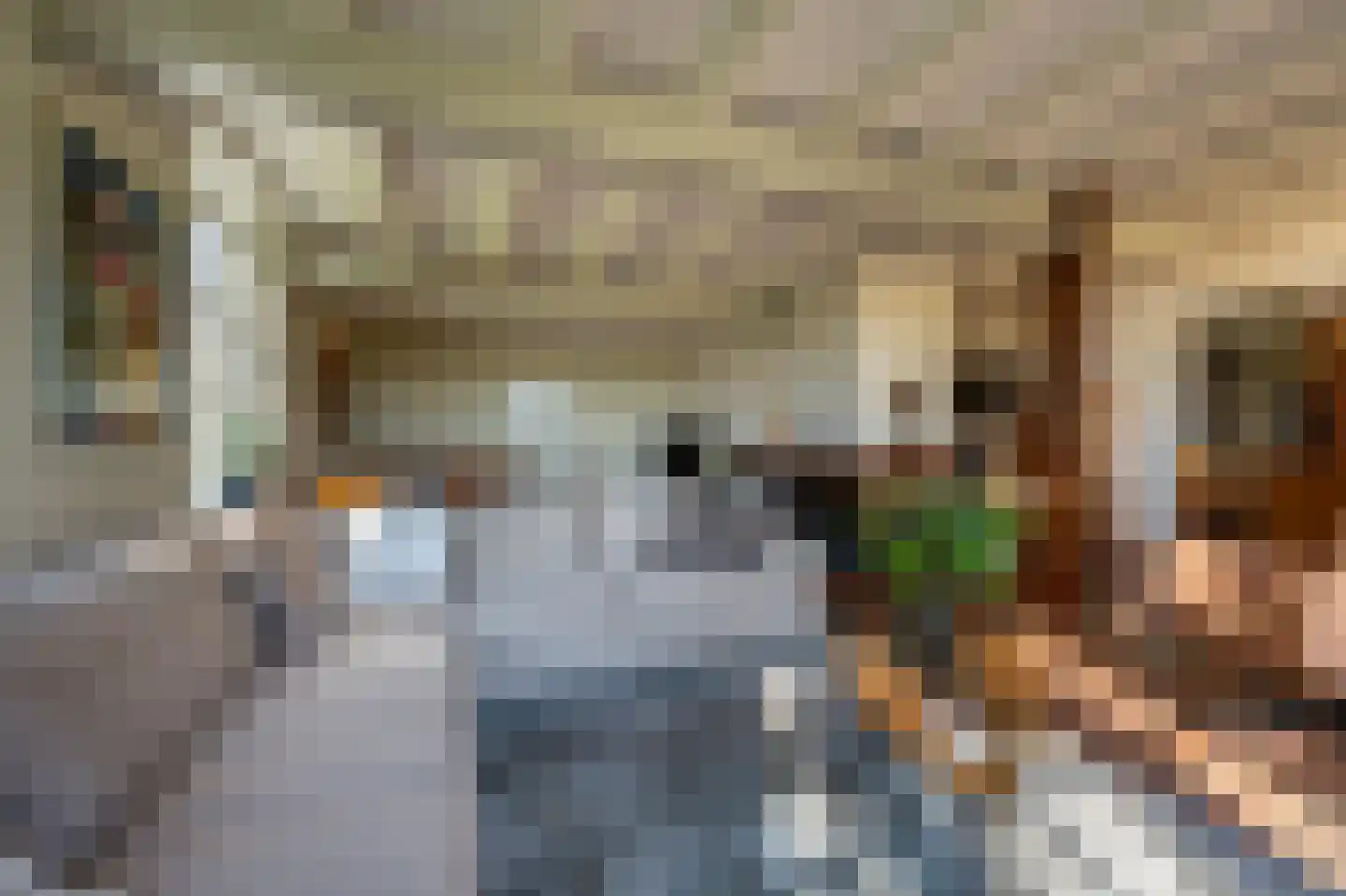 Schenkeldijk 123 's-Gravendeel thumbnail 27