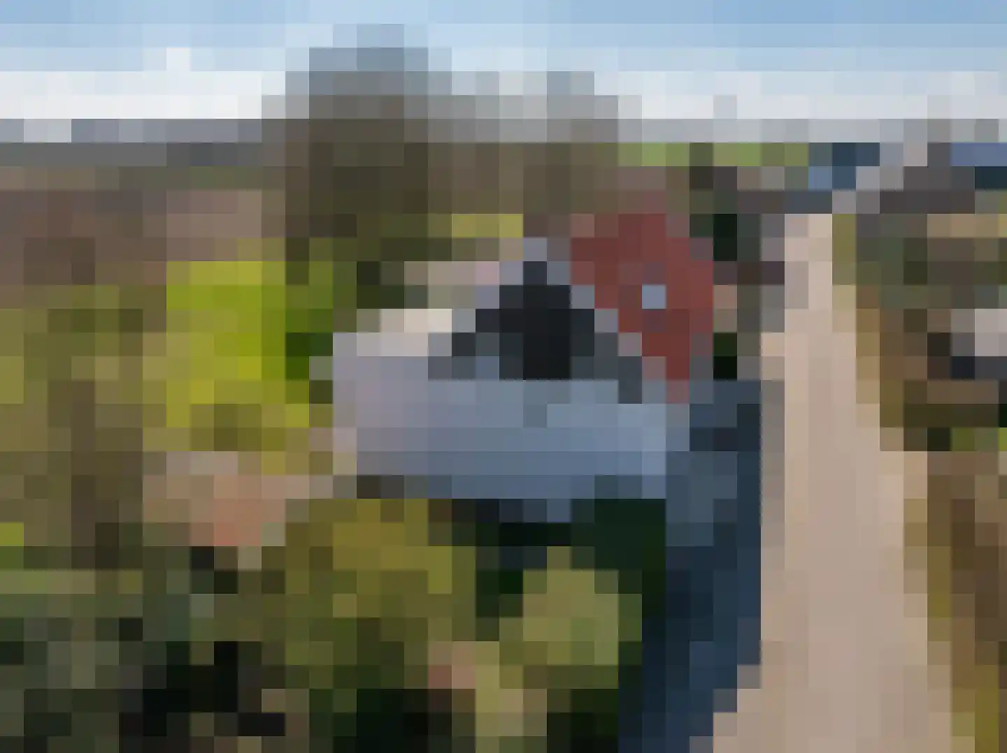Schenkeldijk 123 's-Gravendeel thumbnail 6