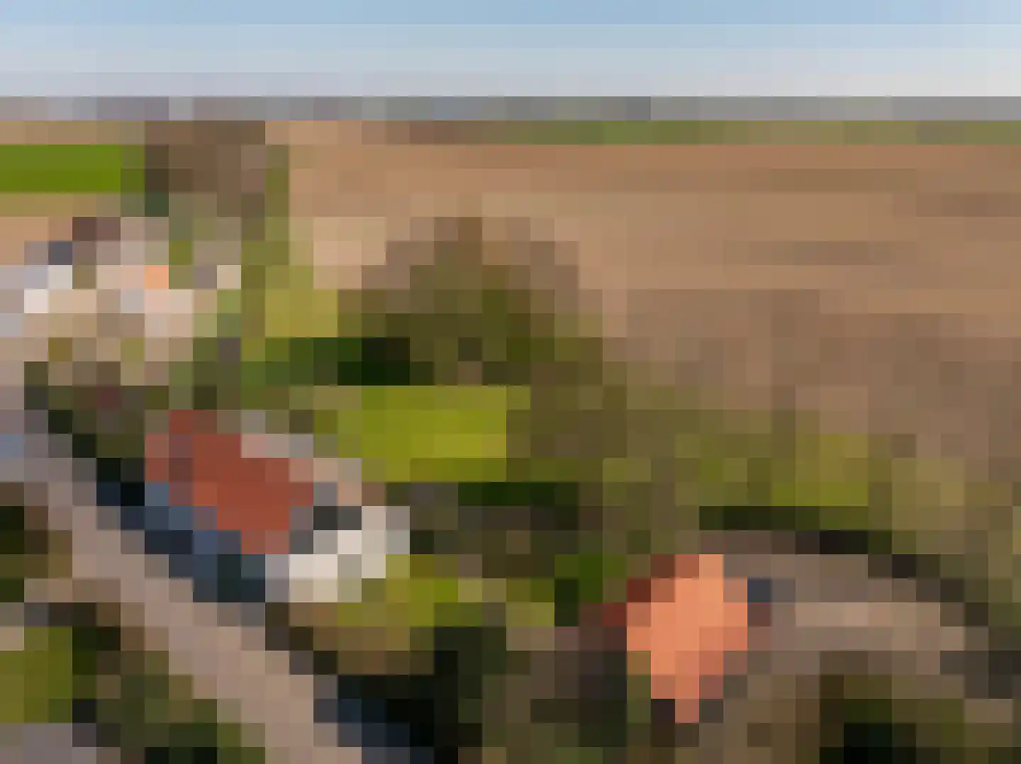 Schenkeldijk 123 's-Gravendeel thumbnail 7