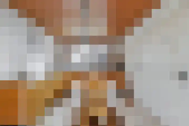 Schenkeldijk 15 Strijen thumbnail 12