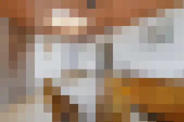 Schenkeldijk 15 Strijen thumbnail 13