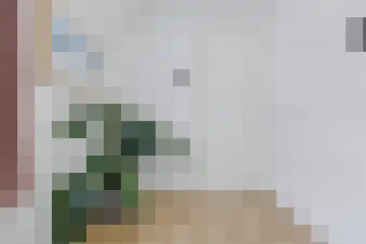 Schenkeldijk 15 Strijen thumbnail 22