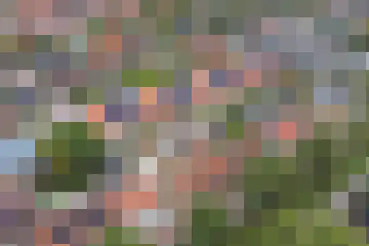 Schenkeldijk 15 Strijen thumbnail 26