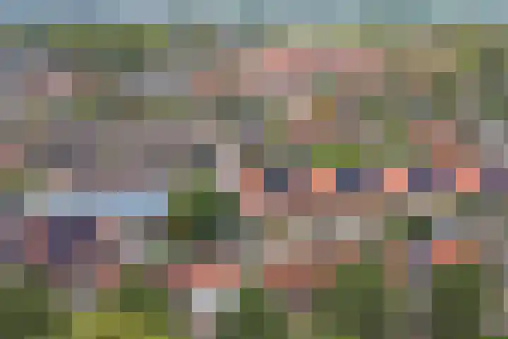 Schenkeldijk 15 Strijen thumbnail 29