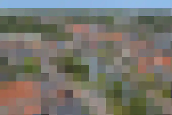 Schenkeldijk 15 Strijen thumbnail 30