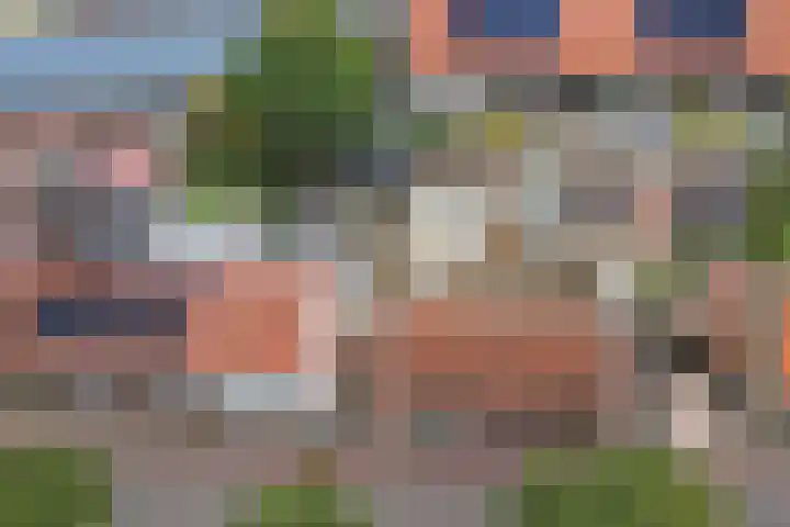 Schenkeldijk 15 Strijen thumbnail 31