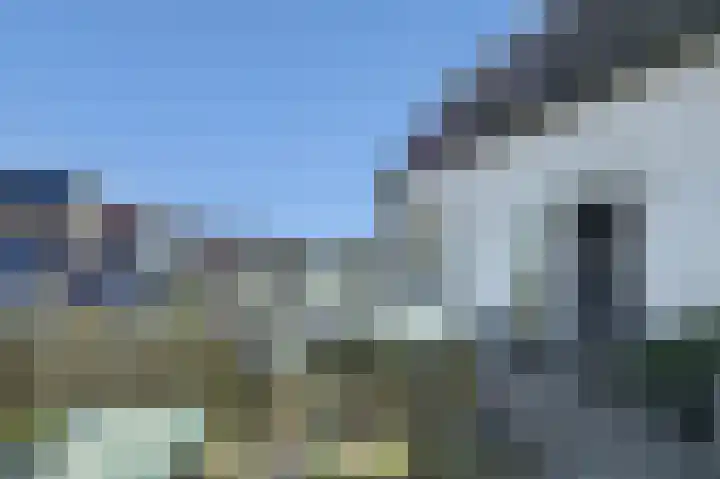 Schenkeldijk 15 Strijen thumbnail 33