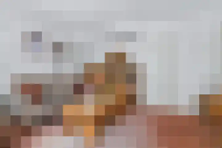 Schenkeldijk 15 Strijen thumbnail 9