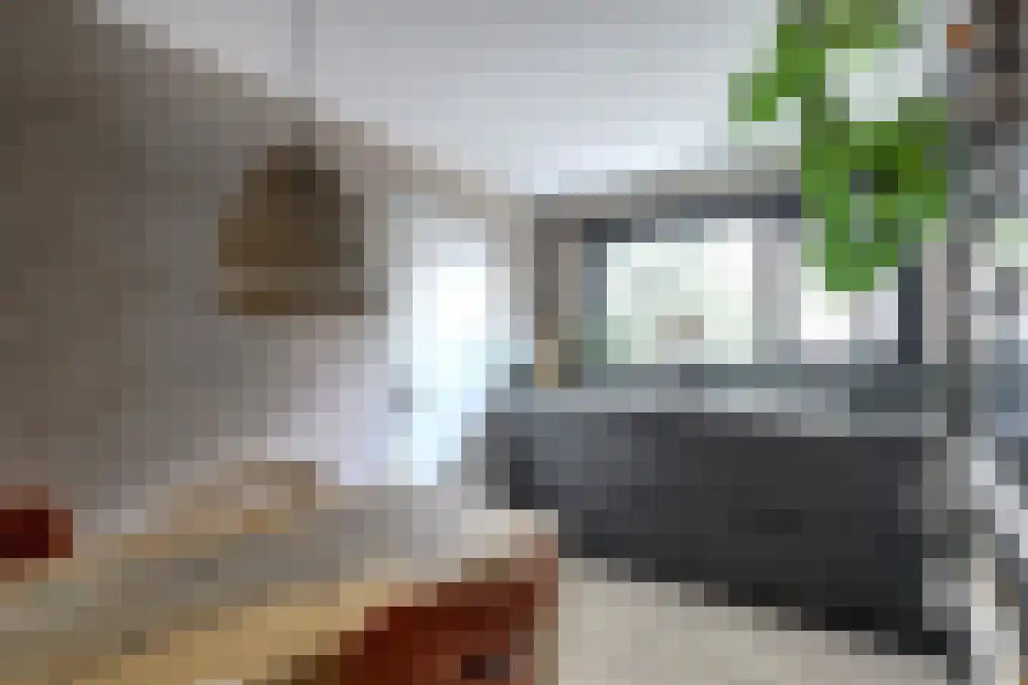 Schenkeldijk 17 Strijen thumbnail 11