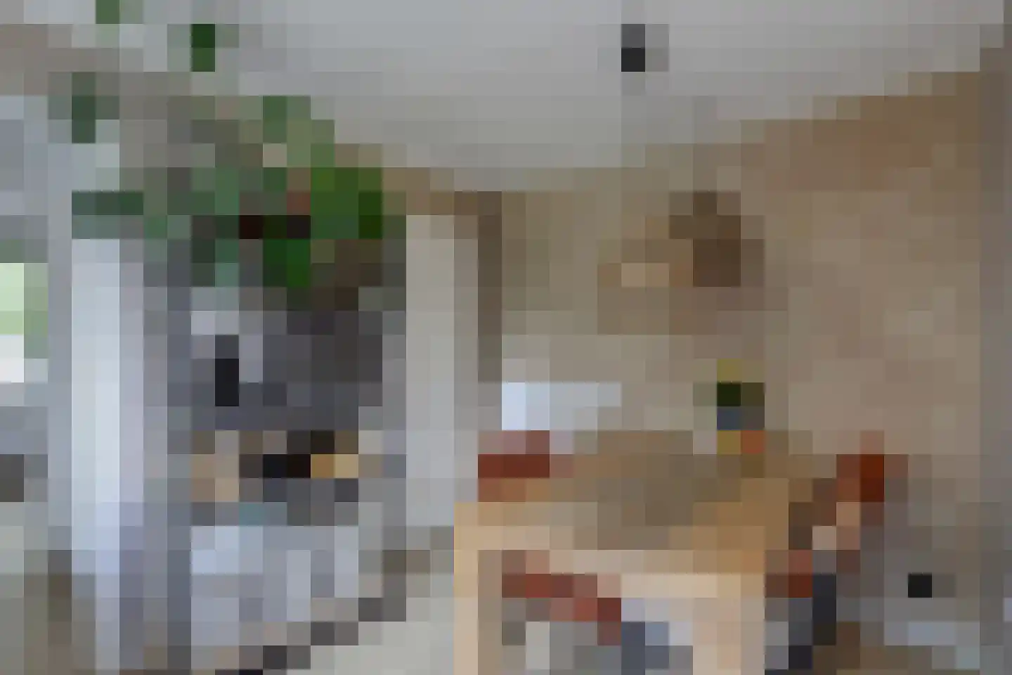 Schenkeldijk 17 Strijen thumbnail 12