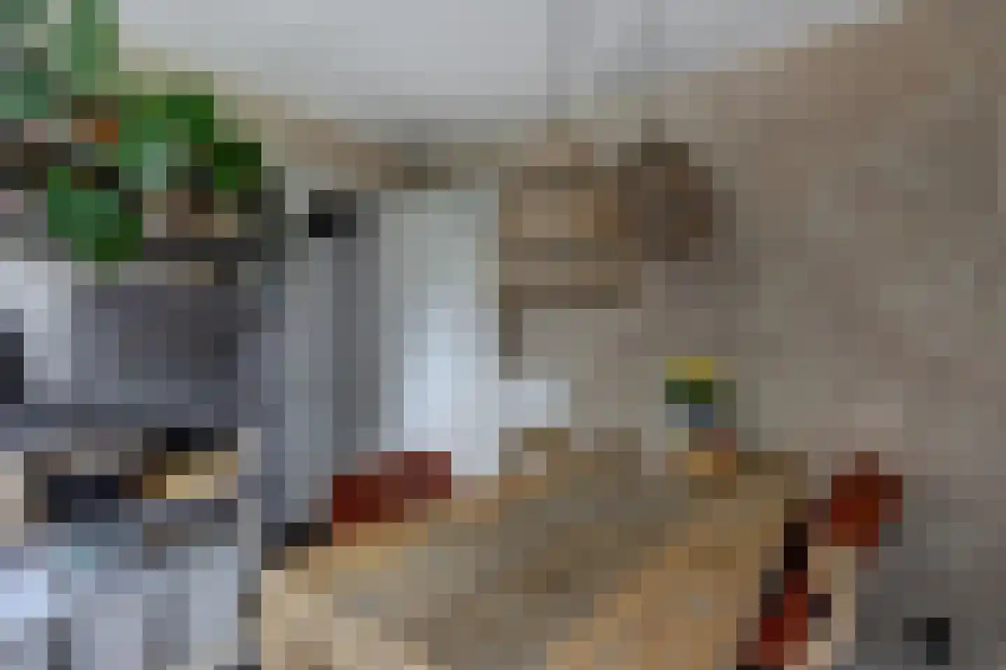 Schenkeldijk 17 Strijen thumbnail 13