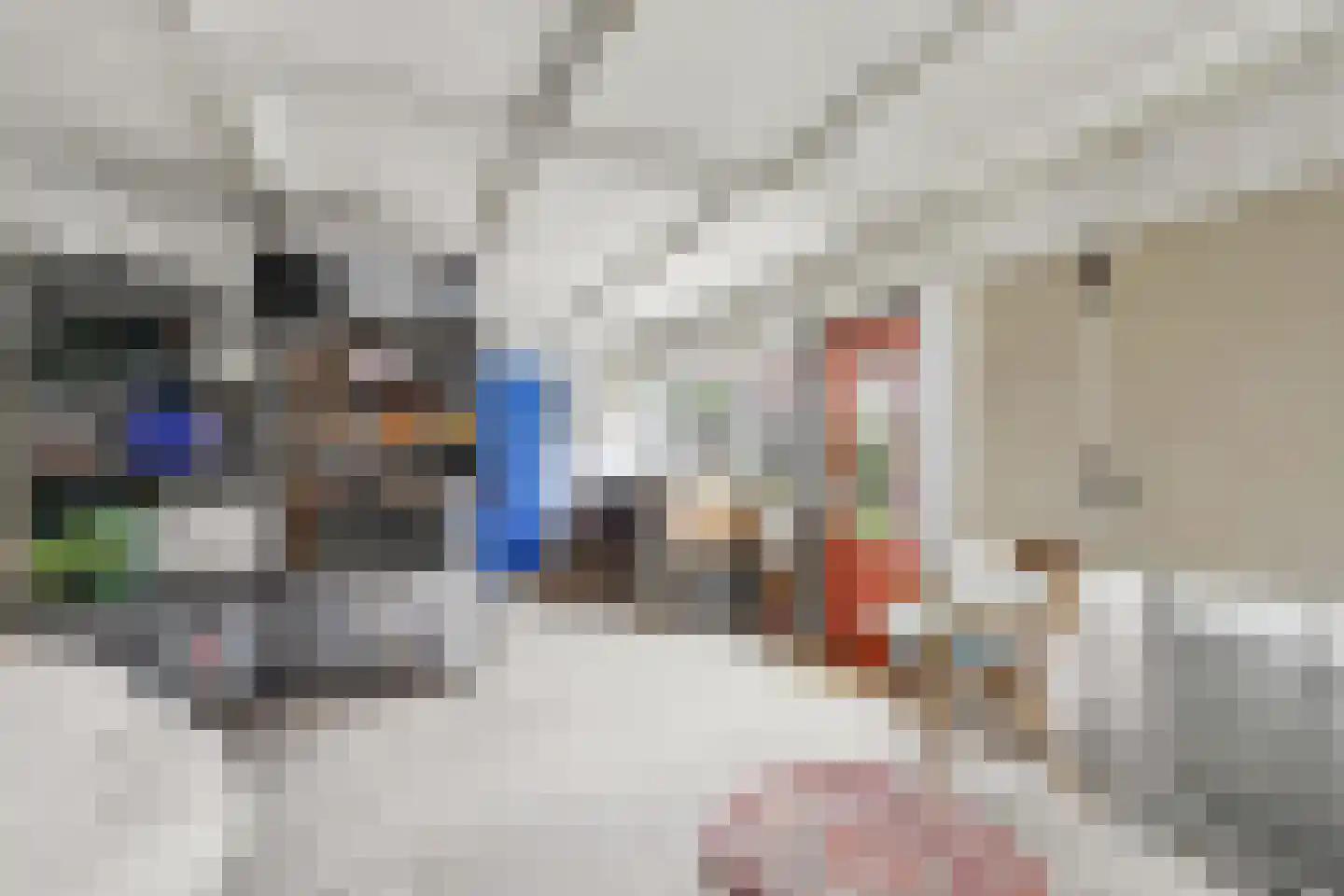Schenkeldijk 17 Strijen thumbnail 22