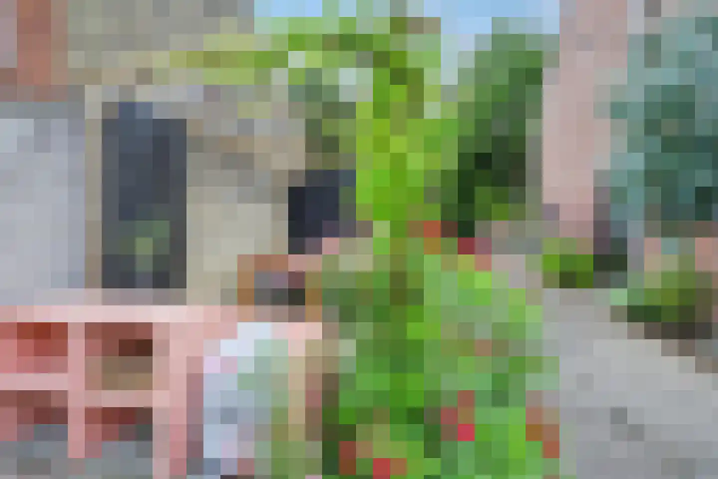 Schenkeldijk 17 Strijen thumbnail 25