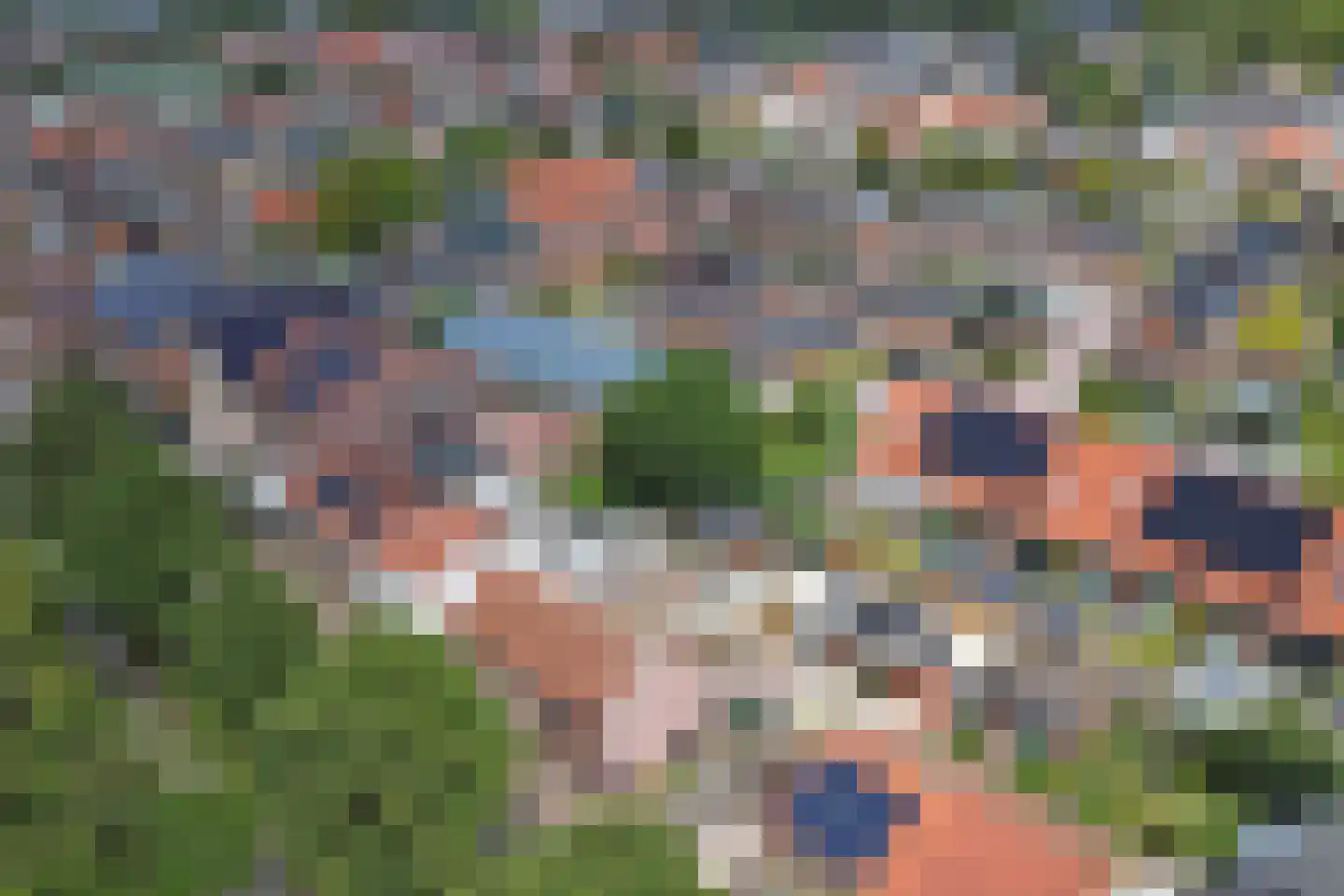 Schenkeldijk 17 Strijen thumbnail 32