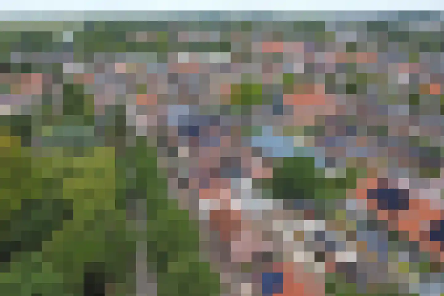 Schenkeldijk 17 Strijen thumbnail 36