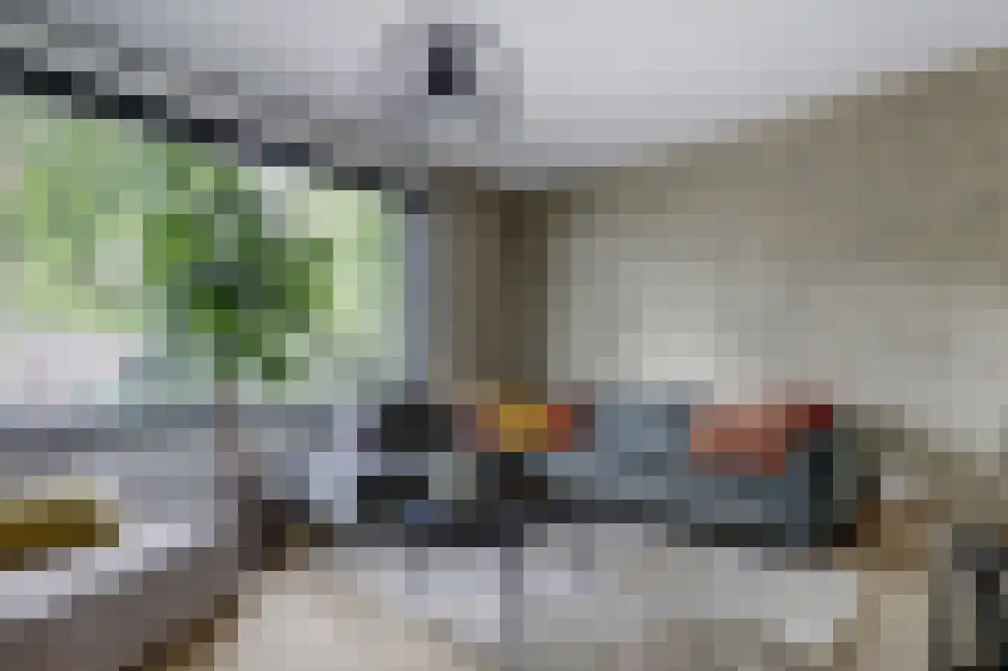 Schenkeldijk 17 Strijen thumbnail 5