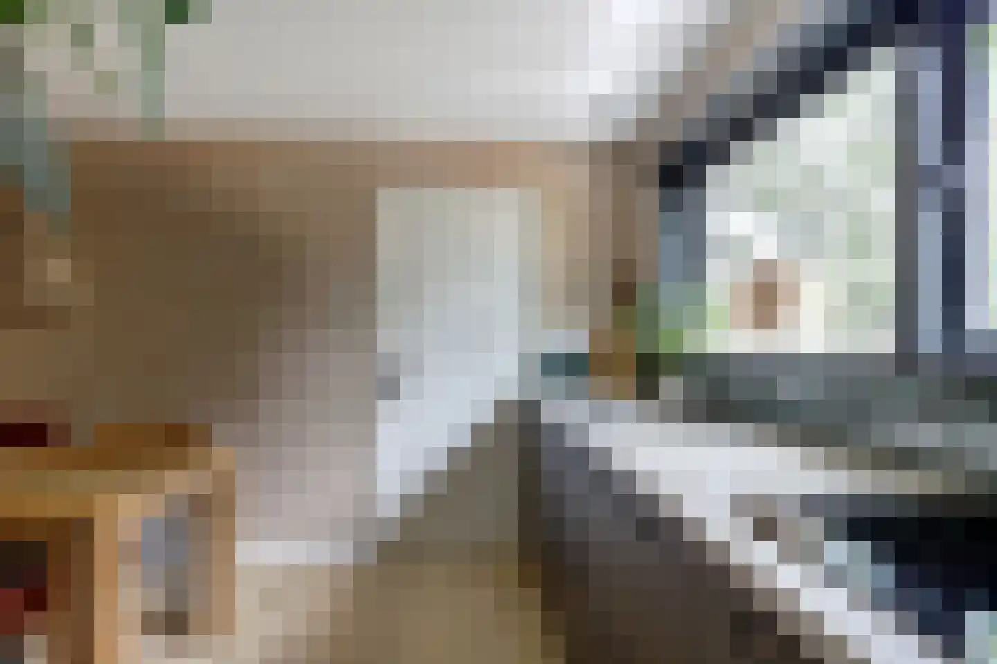 Schenkeldijk 17 Strijen thumbnail 7