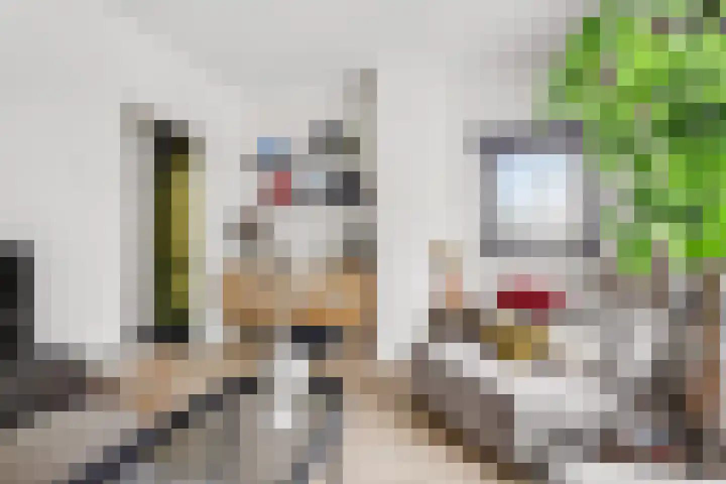 Schenkeldijk 17 Strijen thumbnail 9