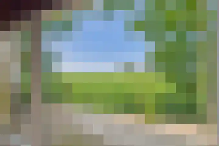Schenkeldijk 2 Graauw thumbnail 13