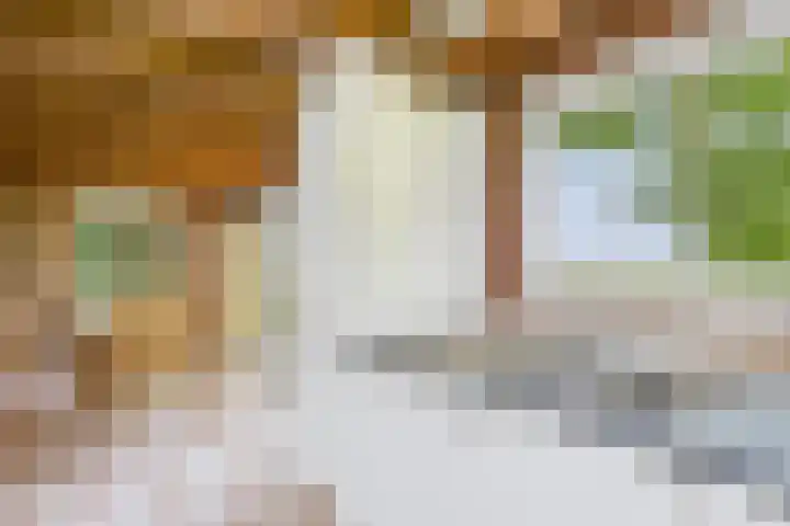 Schenkeldijk 2 Graauw thumbnail 17