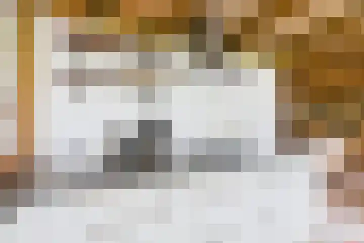 Schenkeldijk 2 Graauw thumbnail 18