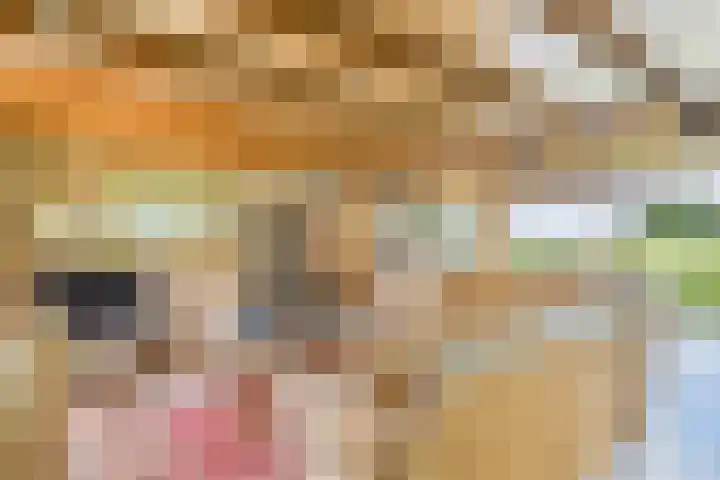 Schenkeldijk 2 Graauw thumbnail 19