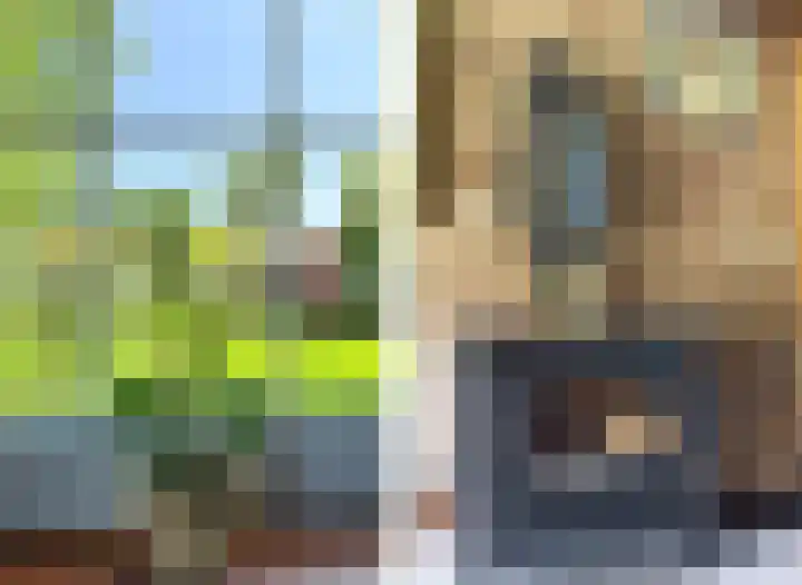 Schenkeldijk 2 Graauw thumbnail 20