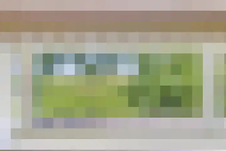 Schenkeldijk 2 Graauw thumbnail 27