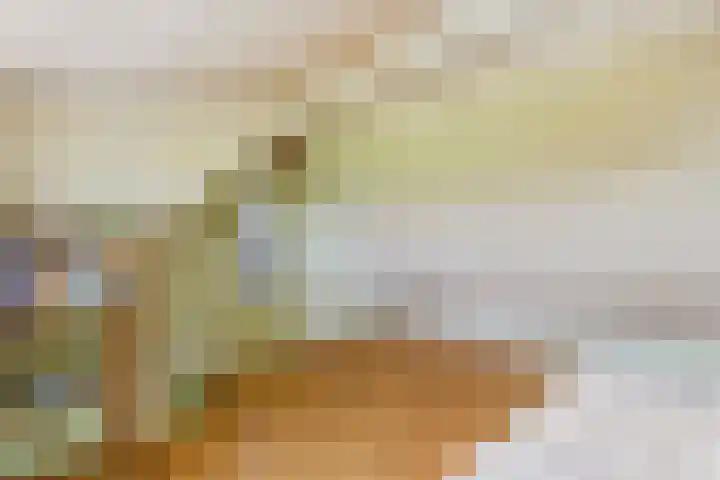 Schenkeldijk 2 Graauw thumbnail 28