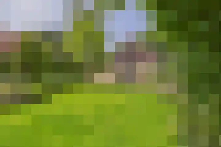 Schenkeldijk 2 Graauw thumbnail 32