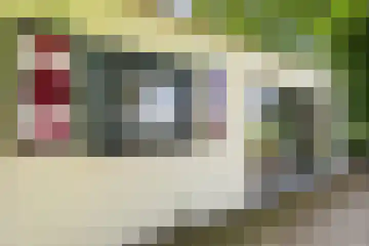 Schenkeldijk 2 Graauw thumbnail 33