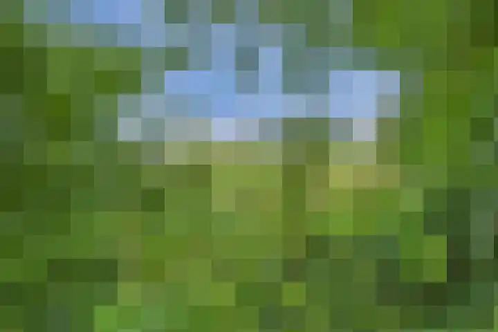 Schenkeldijk 2 Graauw thumbnail 34