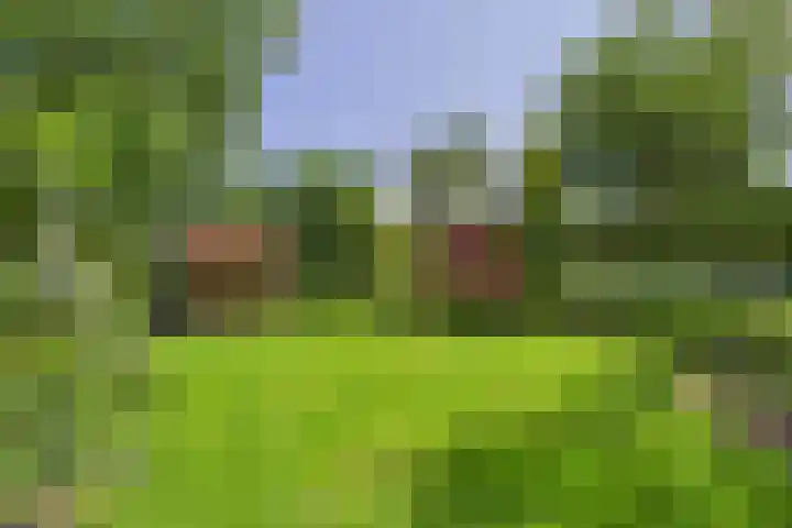 Schenkeldijk 2 Graauw thumbnail 35