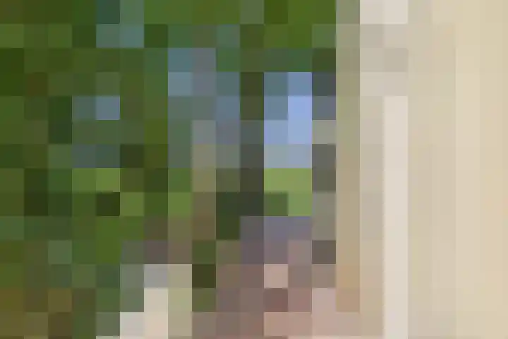 Schenkeldijk 2 Graauw thumbnail 36